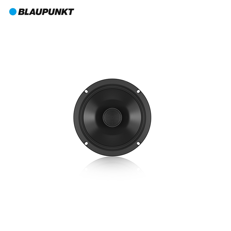 德國藍寶（BLAUPUNKT）BGx 6652 同軸喇叭